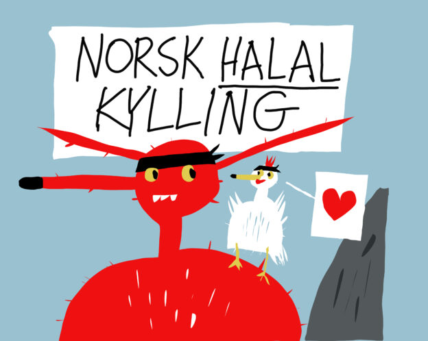 Norsk Halal Kylliing